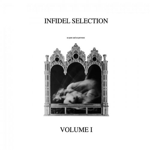 VA - INFIDEL SELECTION VOLUME I (2018)