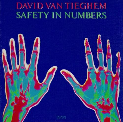 David Van Tieghem - Safety In Numbers (1987)