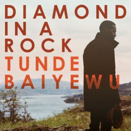Tunde Baiyewu - Diamond In A Rock (2013)