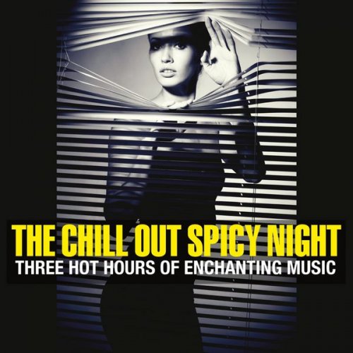 VA - The Chill Out Spicy Night (Three Hot Hours of Enchanting Music) (2014) FLAC