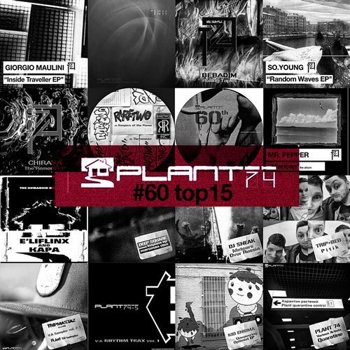 VA - Plant 74 #60 top 15 (2019)
