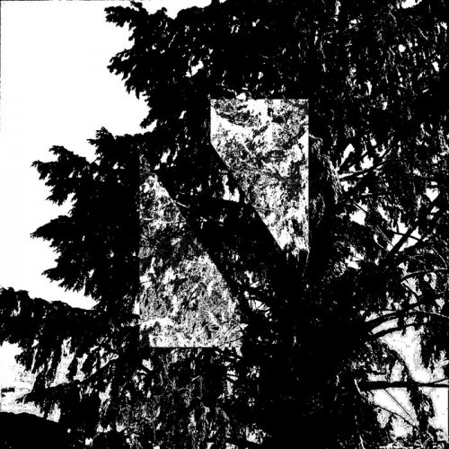Wolf~Loup - Nsl003: Ruminate With The Floating Tahsis Trance Band (2019)