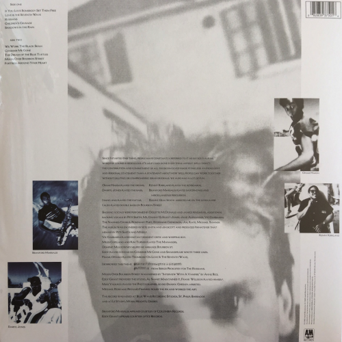 Sting ‎- The Dream Of The Blue Turtles (Reissue 2016) DSD 128, [LP]