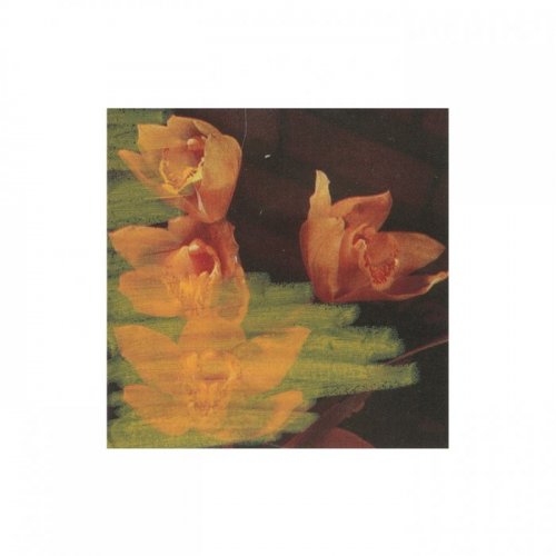 VA - Banoffee Pies Digi 06 (2019)