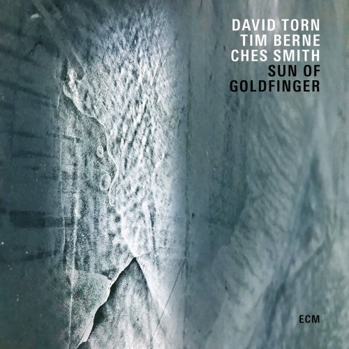 David Torn, Tim Berne & Ches Smith - Sun Of Goldfinger (2019) [Hi-Res]
