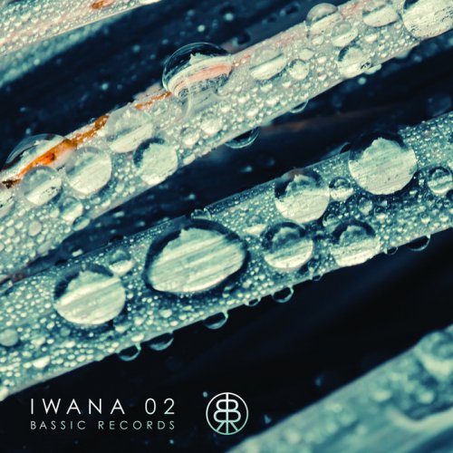 VA - IWANA 02 (2019)