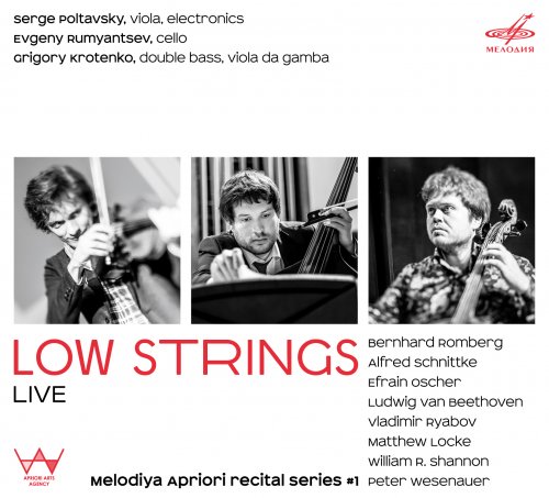 Serge Poltavsky, Evgeny Rumyantsev & Grigory Krotenko - Low Strings (Live) (2016)