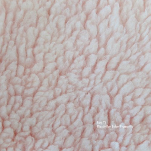 Lee Yi - Dissimilar Lake Pigments (2018)