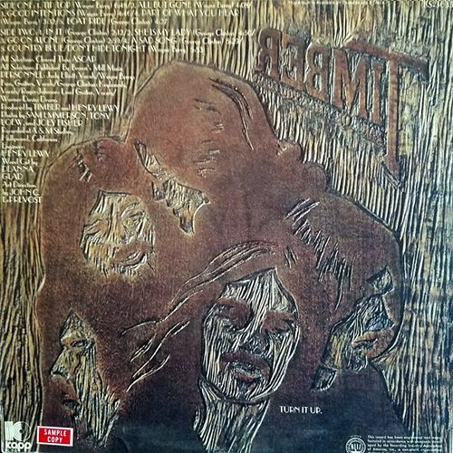 Timber - Part Of What You Hear (1970) LP