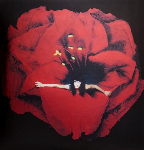 The Smashing Pumpkins - Adore (2014) LP