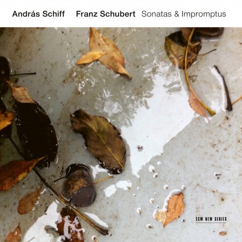 András Schiff - Franz Schubert: Sonatas & Impromptus (2019) [Hi-Res]