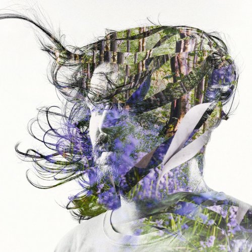 Bibio - Ribbons (2019) CDRip