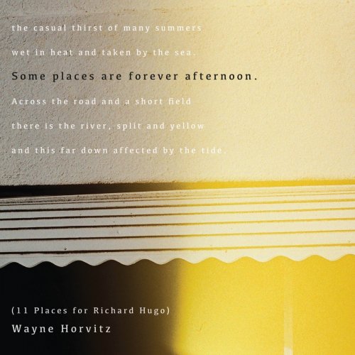 Wayne Horvitz - Some Places Are Forever Afternoon (2015)