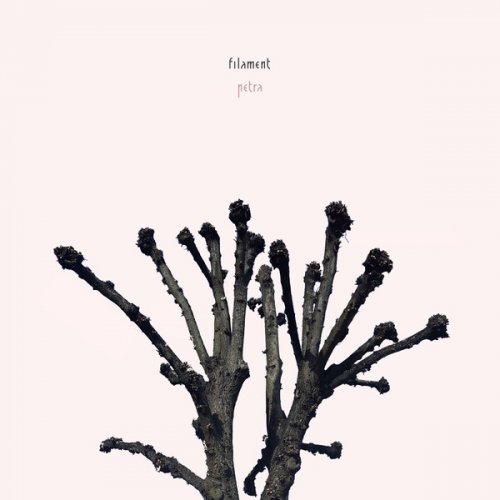Petra - Filament (2019)