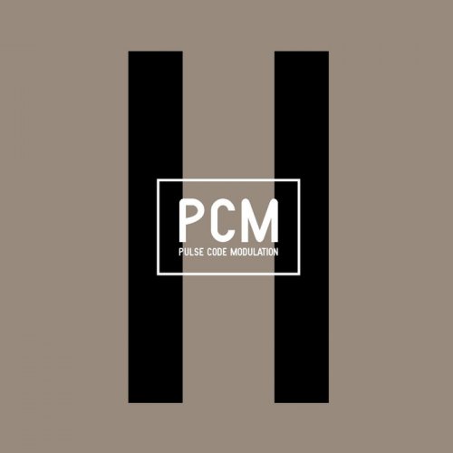 Pulse Code Modulation - I.I (2019)