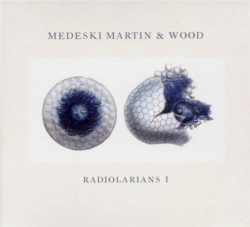 Medeski Martin & Wood - Radiolarians I (2008) 320 kbps+CD Rip