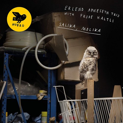 Erlend Apneseth Trio - Salika, Molika (2019)
