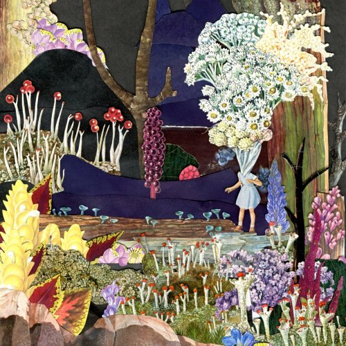 Psychedelic Porn Crumpets - And Now for the Whatchamacallit (2019) [Hi-Res]