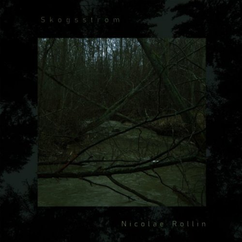 Nikolae Rollin - Skogsstrøm (2019)