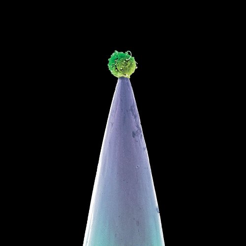 Peter Gabriel - New Blood (2015) [Hi-Res]