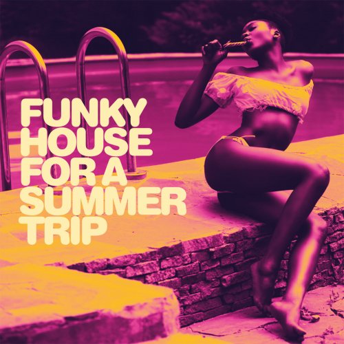 Various Artists - Funky House For a Summer Trip (2019) flac