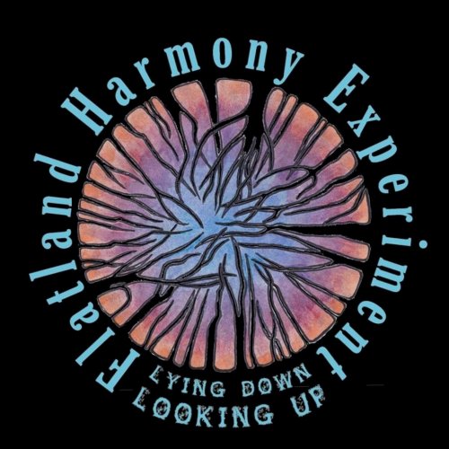 Flatland Harmony Experiment - Lying Down Looking Up (2019)
