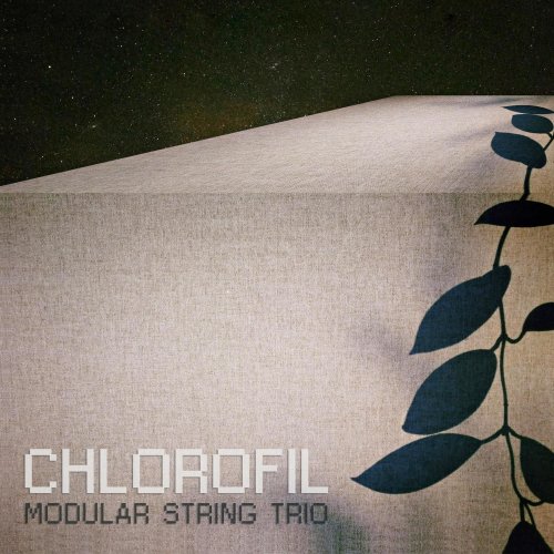 Modular String Trio - Chlorofil (2019) [Hi-Res]