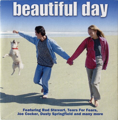 VA - Beautiful Day (2004)