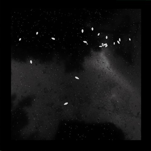 Tribe Of Colin - Age of Aquarius (2019)