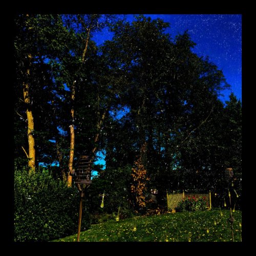 Blake Beitzel - Home (2019)