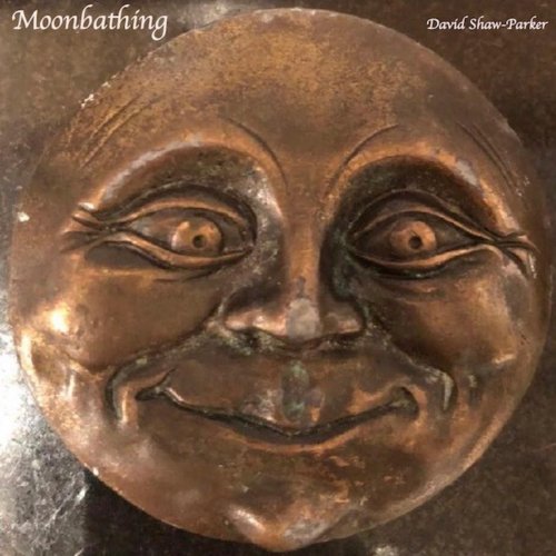 David Shaw-Parker - Moonbathing (2019)