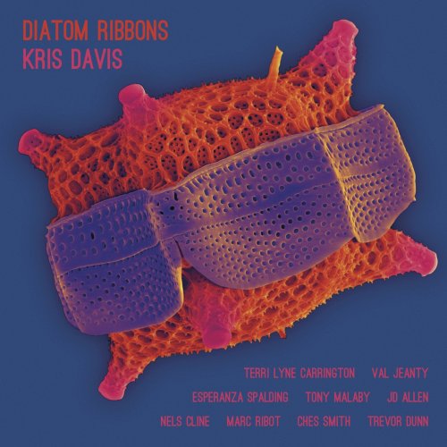 Kris Davis - Diatom Ribbons (2019) [Hi-Res]
