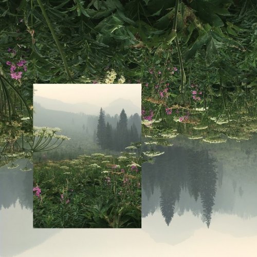 Teen Daze - Bioluminescence (Remixes) (2019)