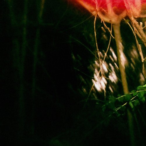 Coppice Halifax & Variant - Slow Earth Ritual (2019)