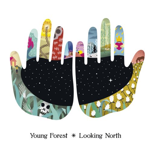 Forest Young - Looking North (2019) [Hi-Res]