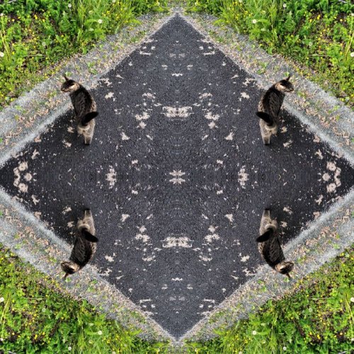 EOD - Treatment (2019)