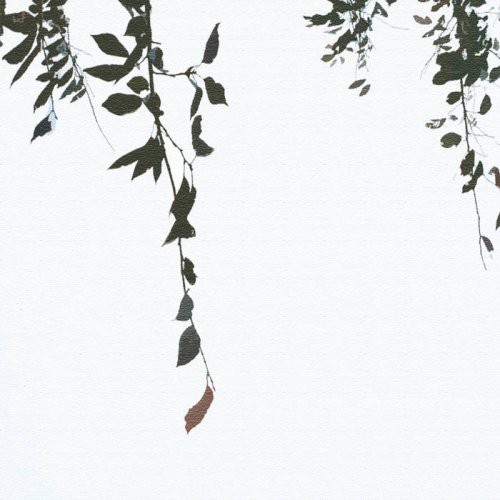 Rhucle - 霧が晴れたら (2019)