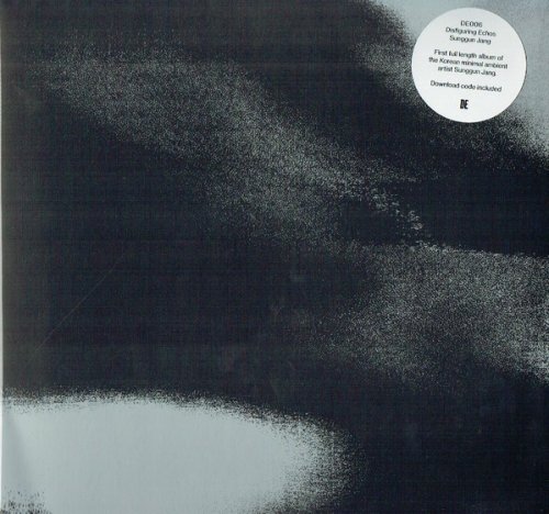 Sunggun Jang - Disfiguring Echos (2019)