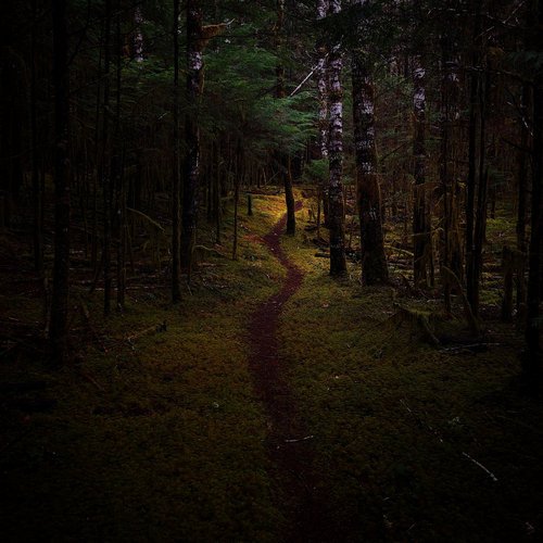 Saphileaum - The Traveler (2019) [Hi-Res]