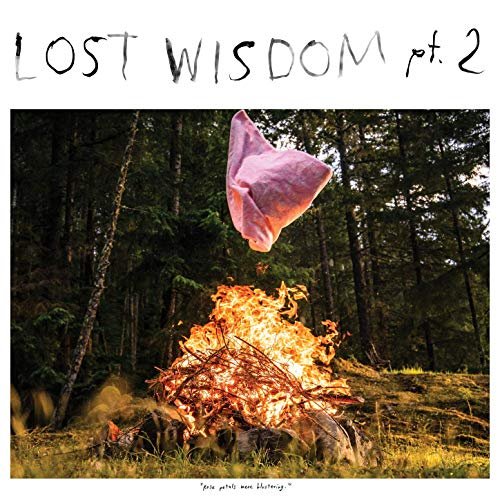 Mount Eerie - Lost Wisdom, Pt. 2 (2019) [Hi-Res]