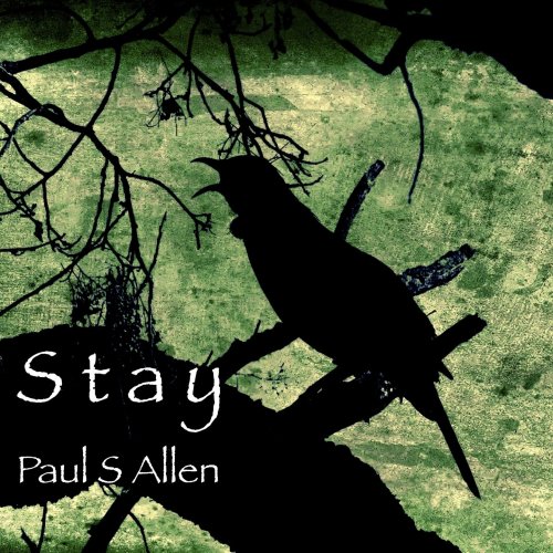Paul S Allen - Stay (2019) flac