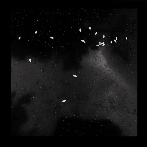 Tribe Of Colin - Age of Aquarius (2019) [Hi-Res]