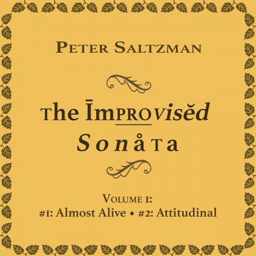 Peter Saltzman - The Improvised Sonata: Volume 1 (2019)