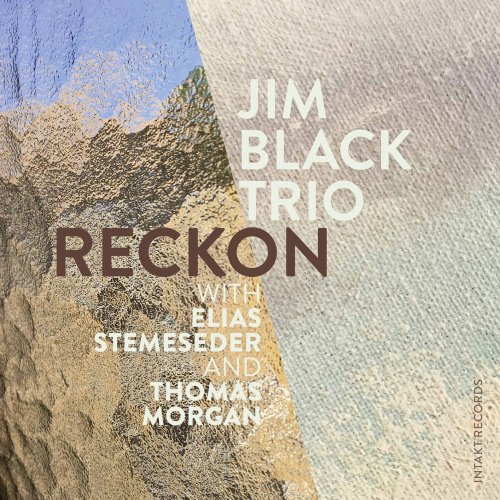 Jim Black Trio with Jim Black, Elias Stemeseder, Thomas Morgan - Reckon (2020) [Hi-Res]