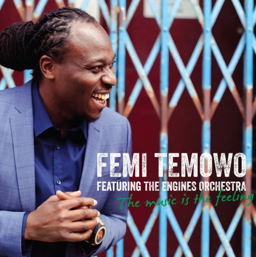 Femi Temowo - The Music Is the Feeling (2016)