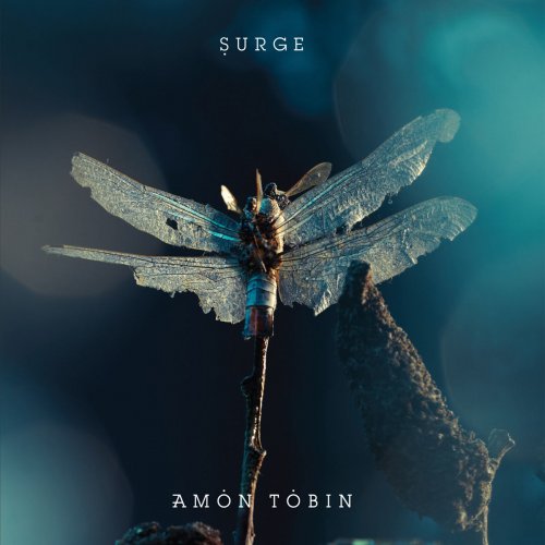 Amon Tobin - Surge [Single] (2011) flac