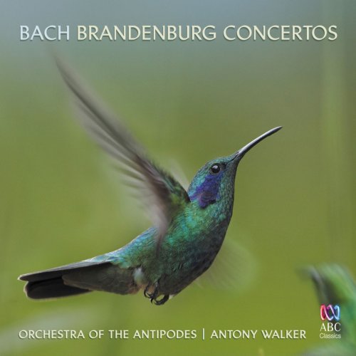 Orchestra of the Antipodes - Bach: Brandenburg Concertos (2020)