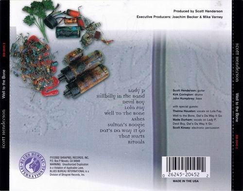 Scott Henderson - Well To The Bone (2002)
