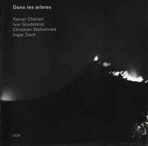 Dans Les Arbres - Dans Les Arbres (2008)