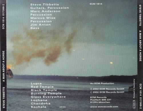 Steve Tibbetts - A Man About A Horse (2002) CD Rip
